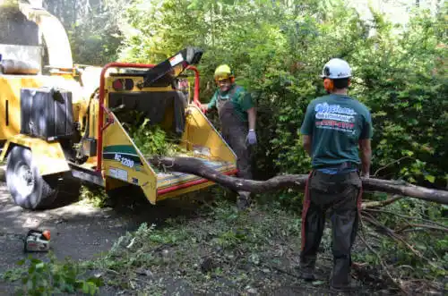 tree services Angoon